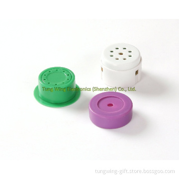 Toy Accessories, Voice Box